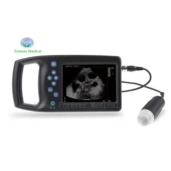 vet ultrasound machine price