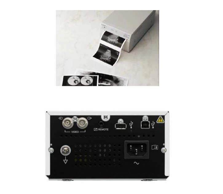 Hybrid Video Graphic Printer