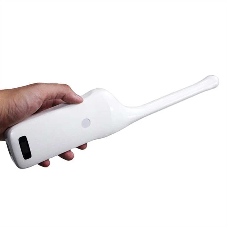 Transvaginal Probe Transvaginal Probe