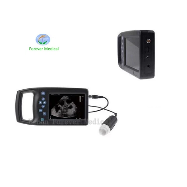 ultrasound handheld device